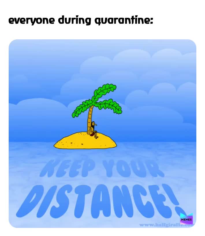 #quarantine  #meme  #covid19
