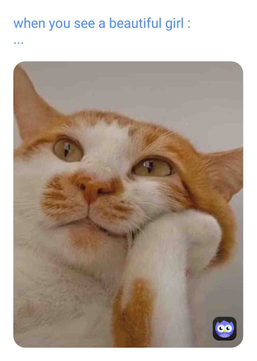 Meme shared by @MADARA_kun