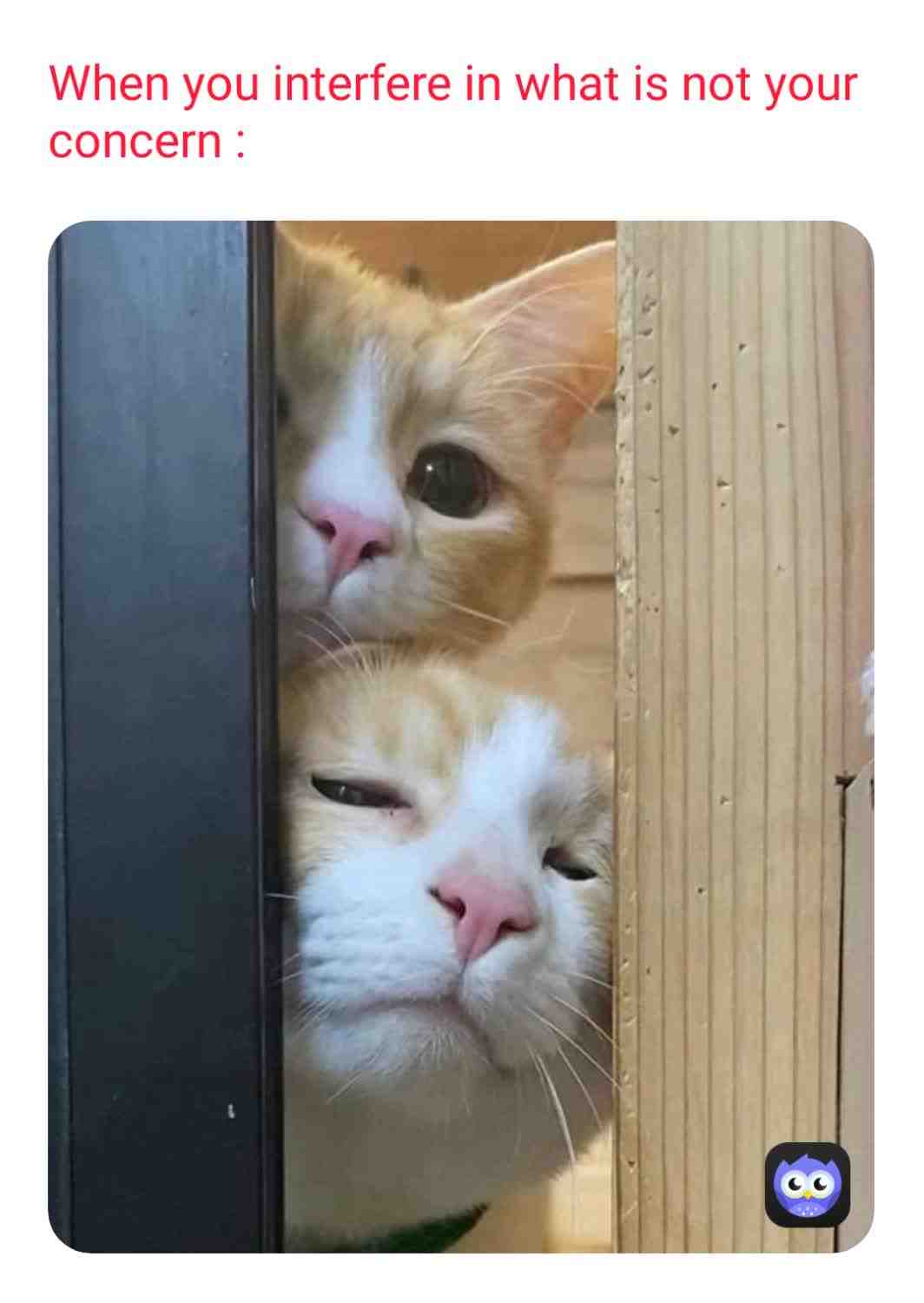 Meme shared by @MADARA_kun