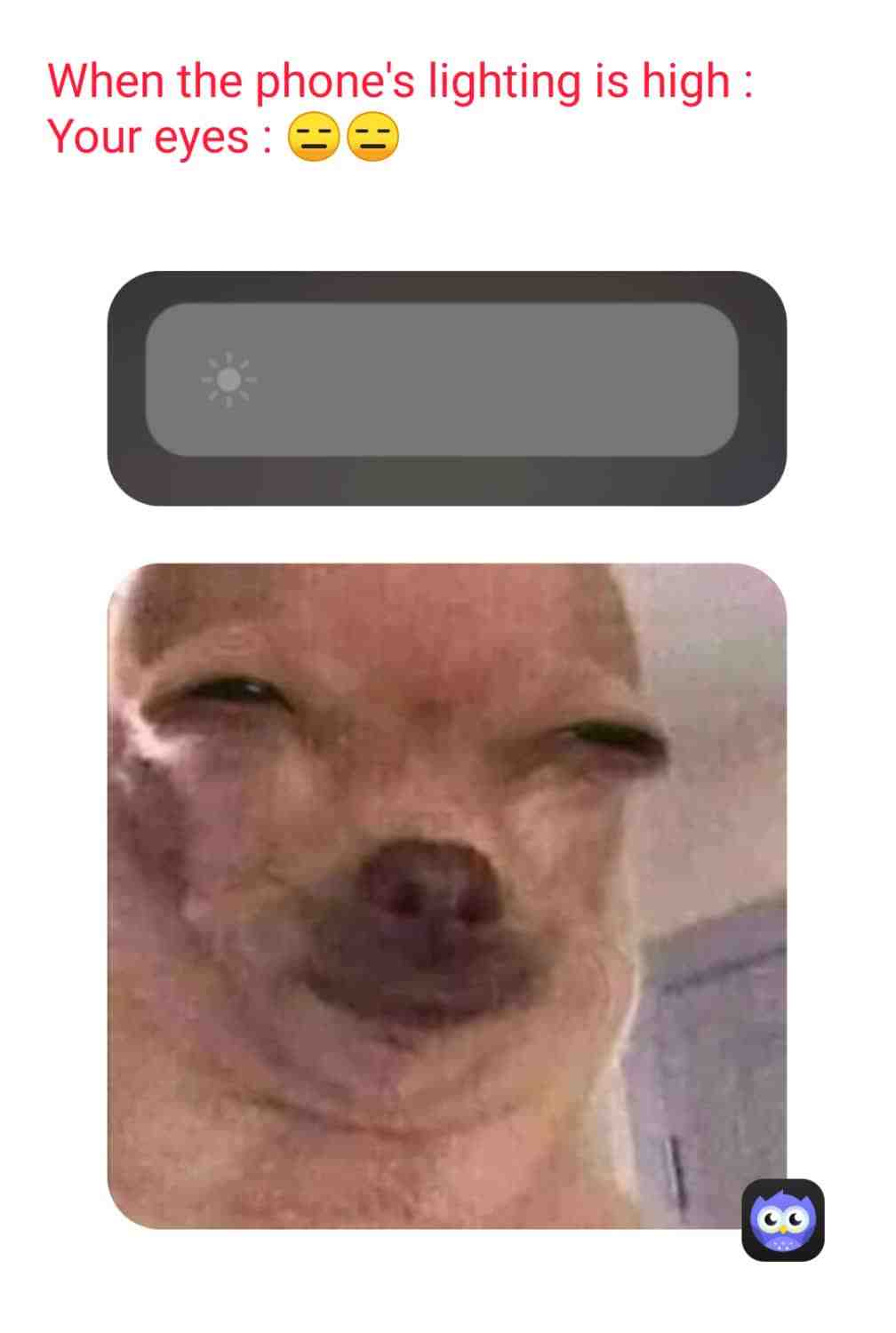 Meme shared by @MADARA_kun