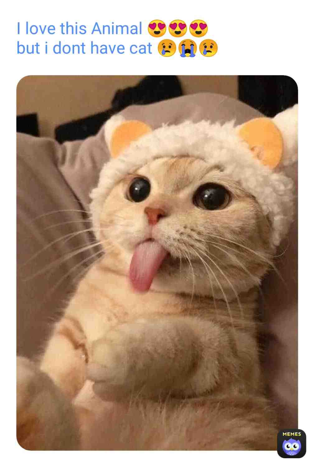 Meme shared by @MADARA_kun