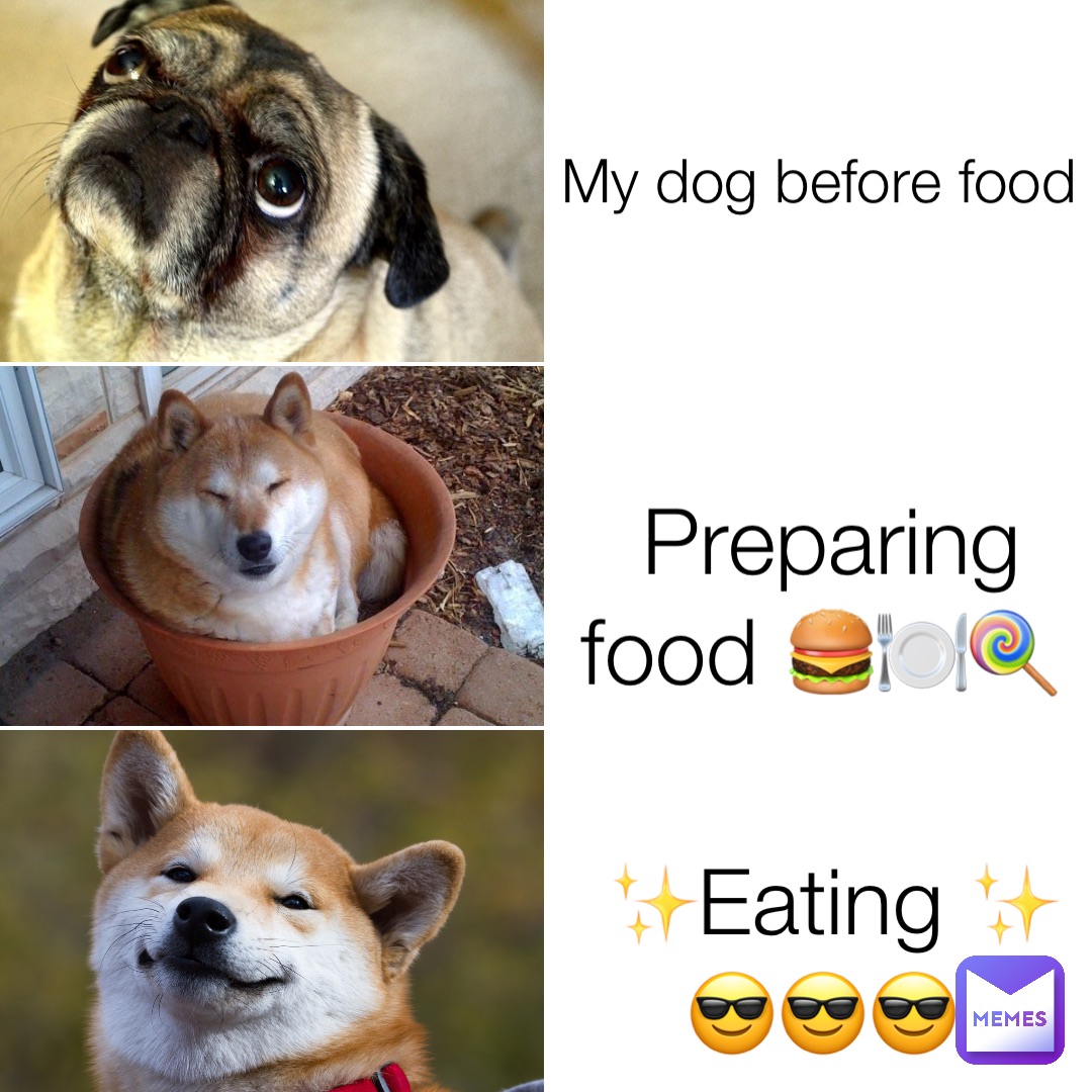 My dog before food Preparing food 🍔🍽️🍭 ✨Eating ✨ 😎😎😎