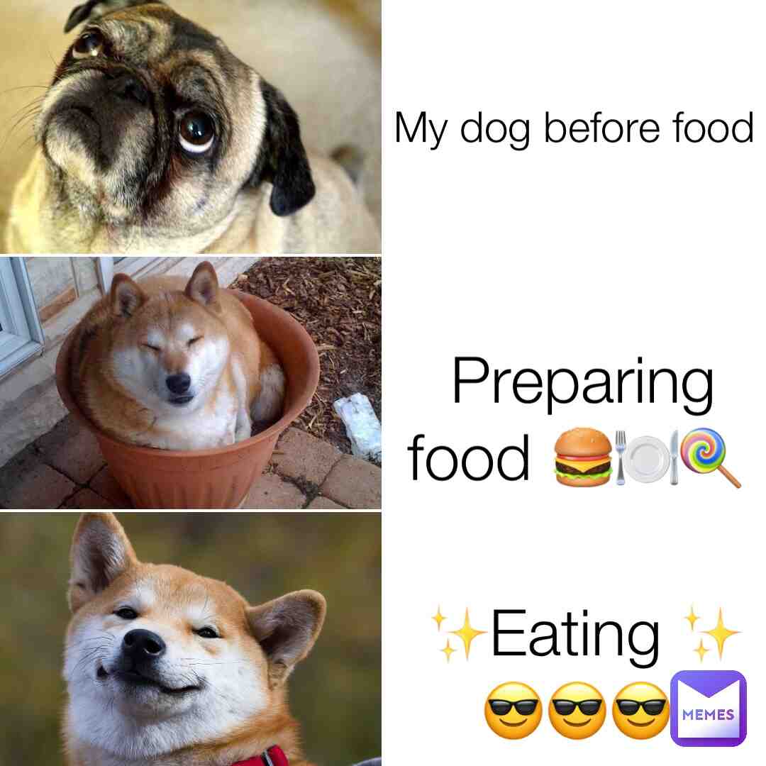 🍽️