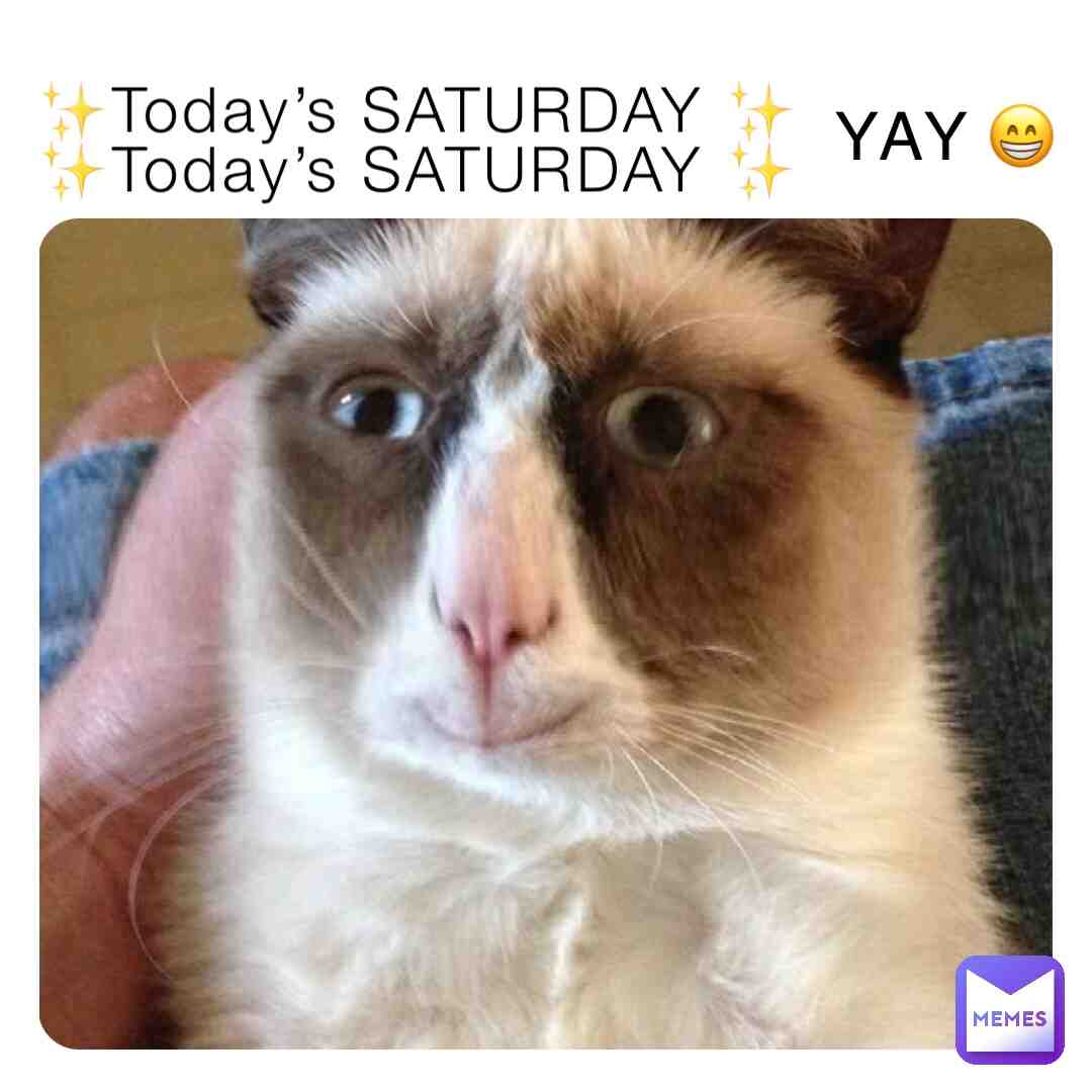 🥳🥳🥳 #cute #cat #happy