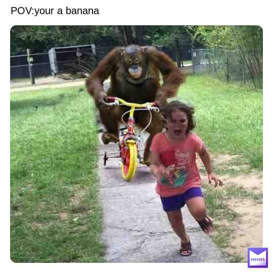 when banana #monkemoment #monkeymemes