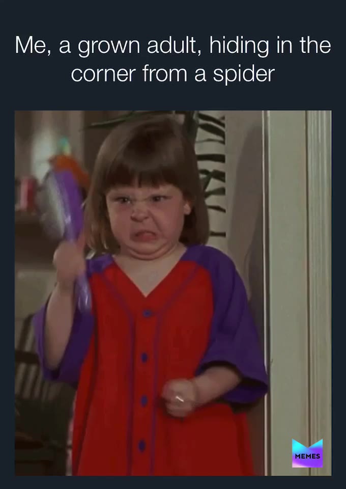 I was at a camp once with so many spiders lol I couldn’t even function  #spider  #lol  #meme  #funny  #gif  #haha  #keanureavess