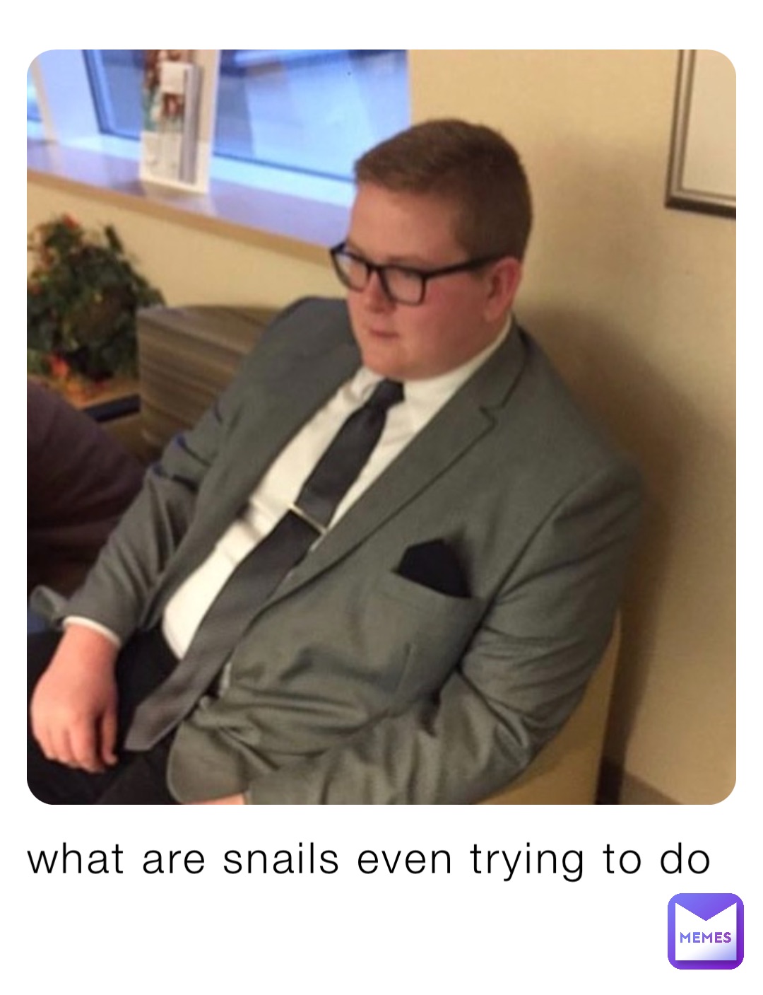 what are snails even trying to do