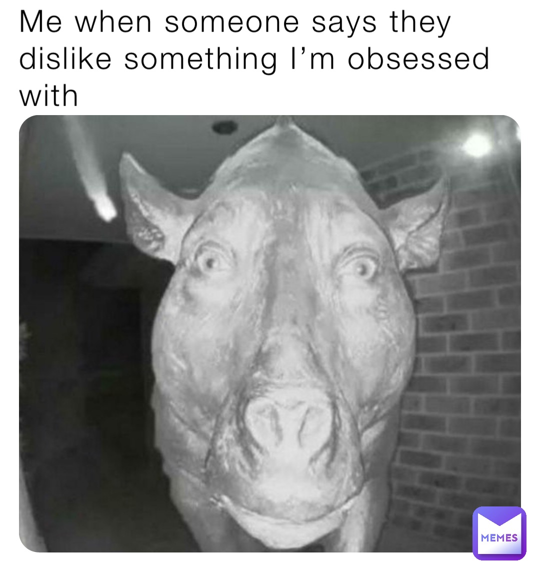 Me when someone says they dislike something I’m obsessed with