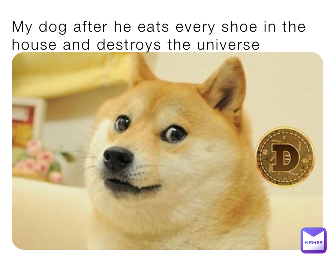 My dog after he eats every shoe in the house and destroys the universe