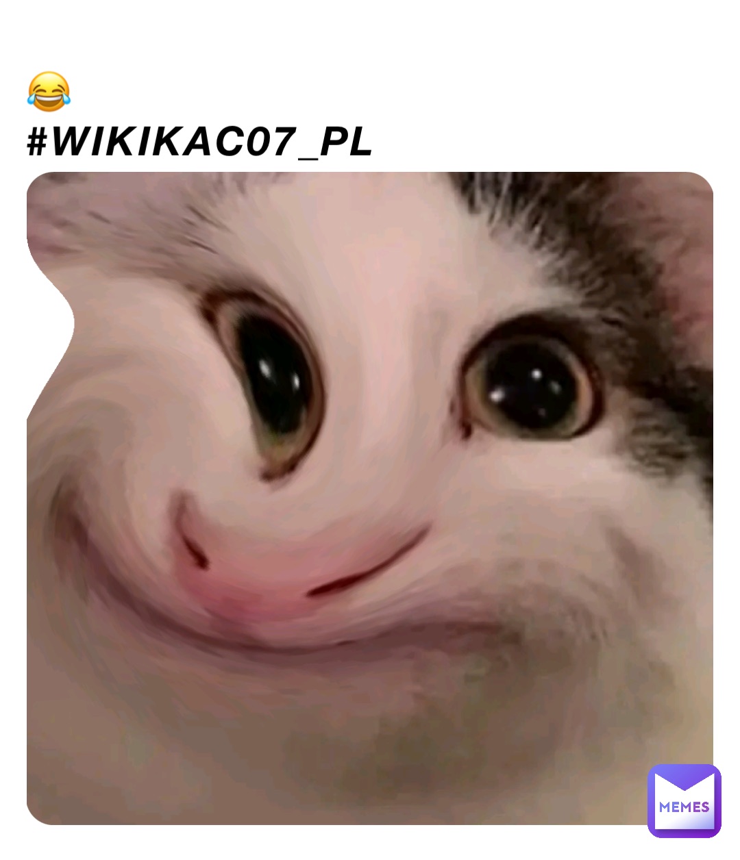 😂
#wikikac07_pl