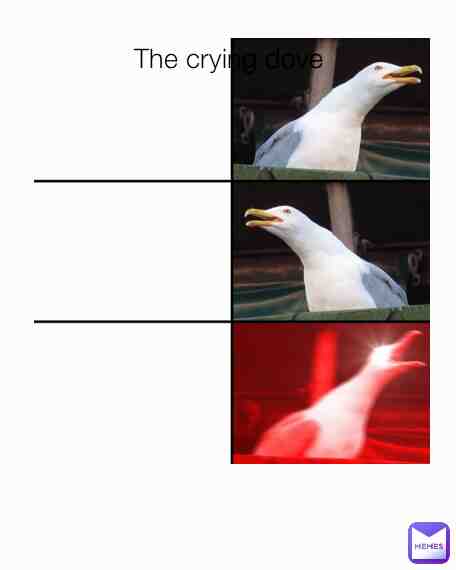 Crying dove