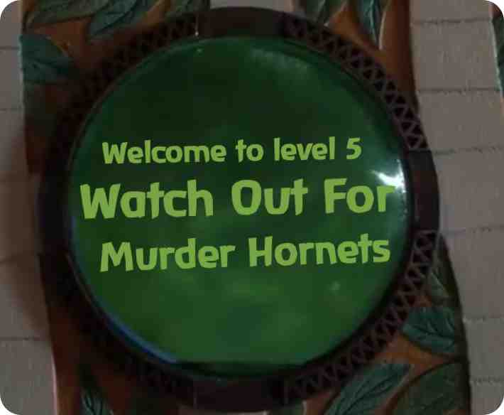 #coronavirus #covid19 #2020 #California #murderhornet #jumanji