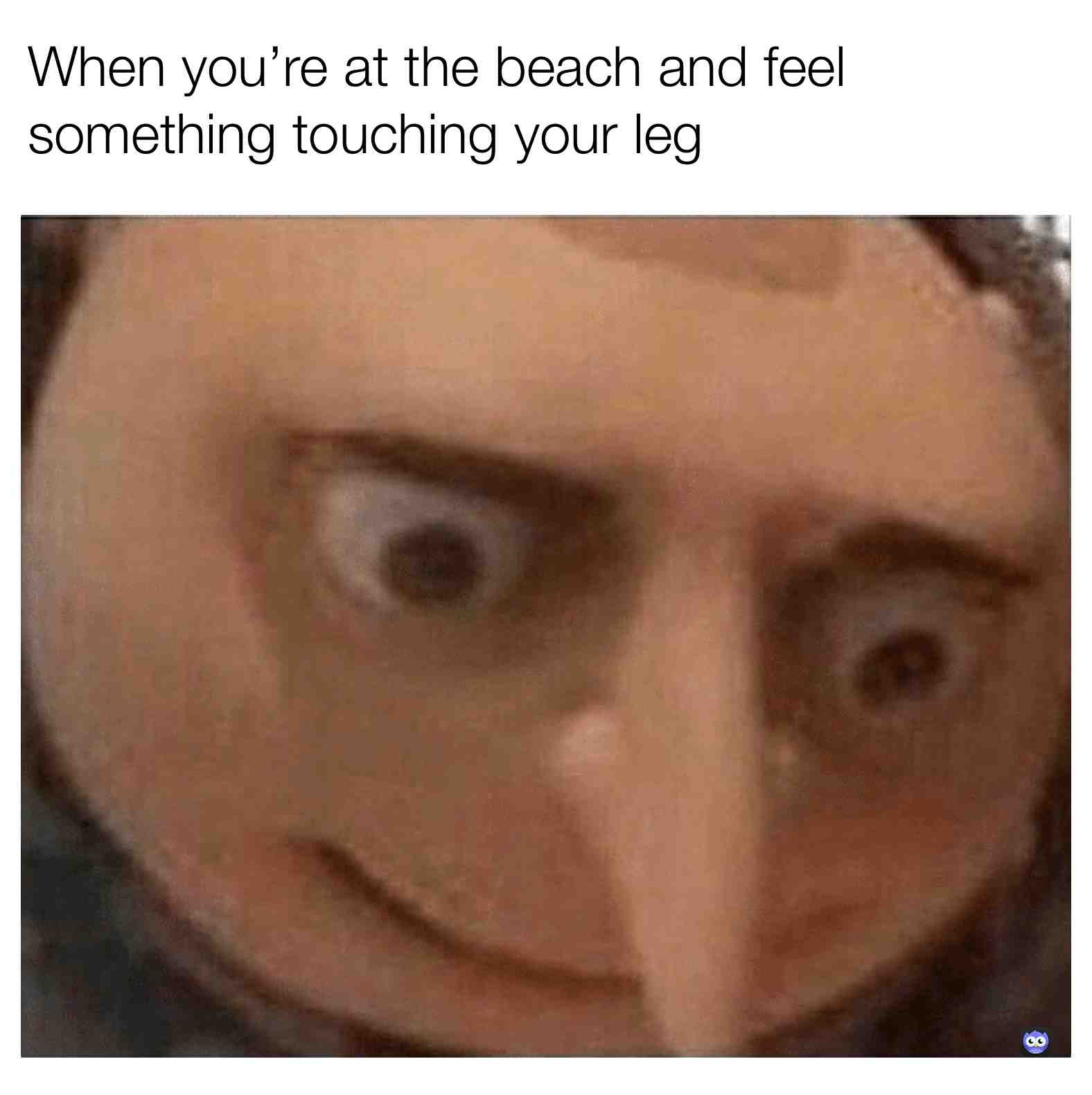 #dumbmemes #idk #beach #lmao #idk