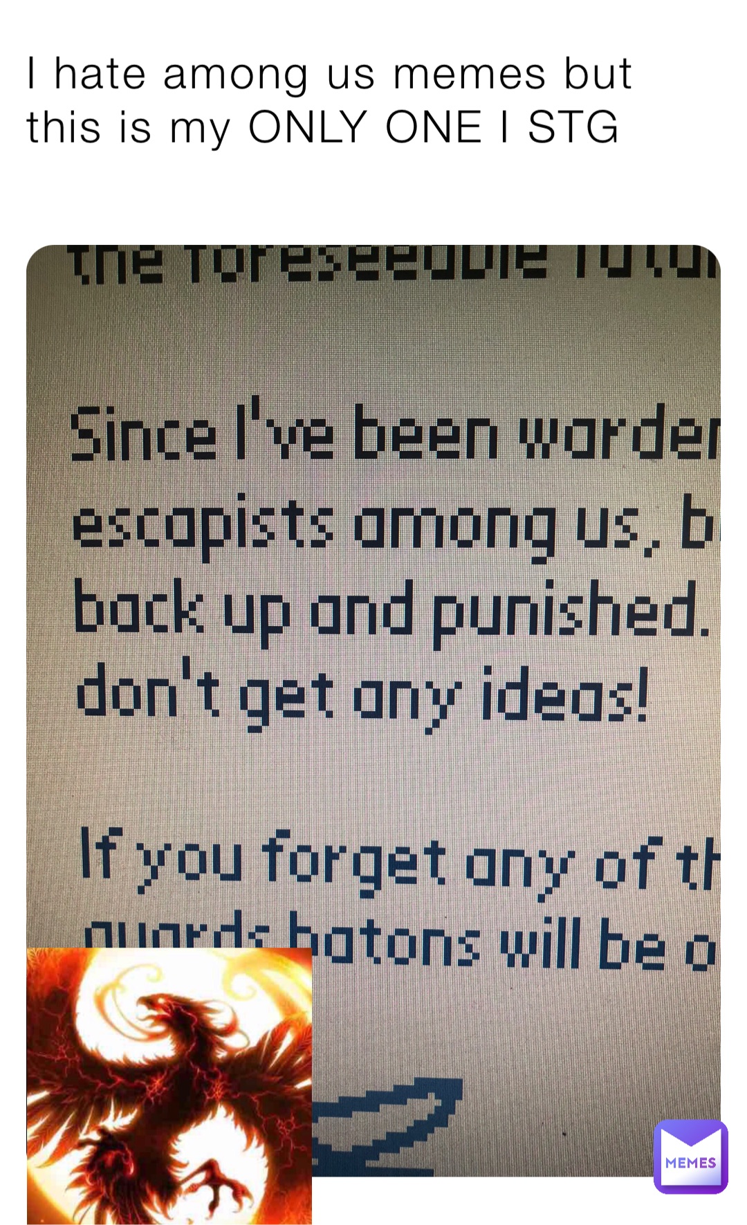 I hate among us memes but this is my ONLY ONE I STG