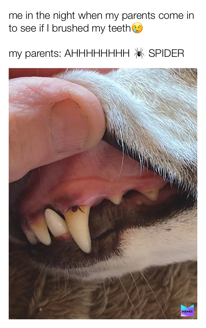 Meme by dankmemer30000