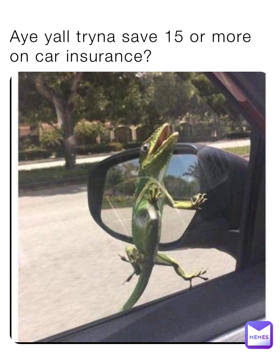Aye yall tryna save 15 or more on car insurance?