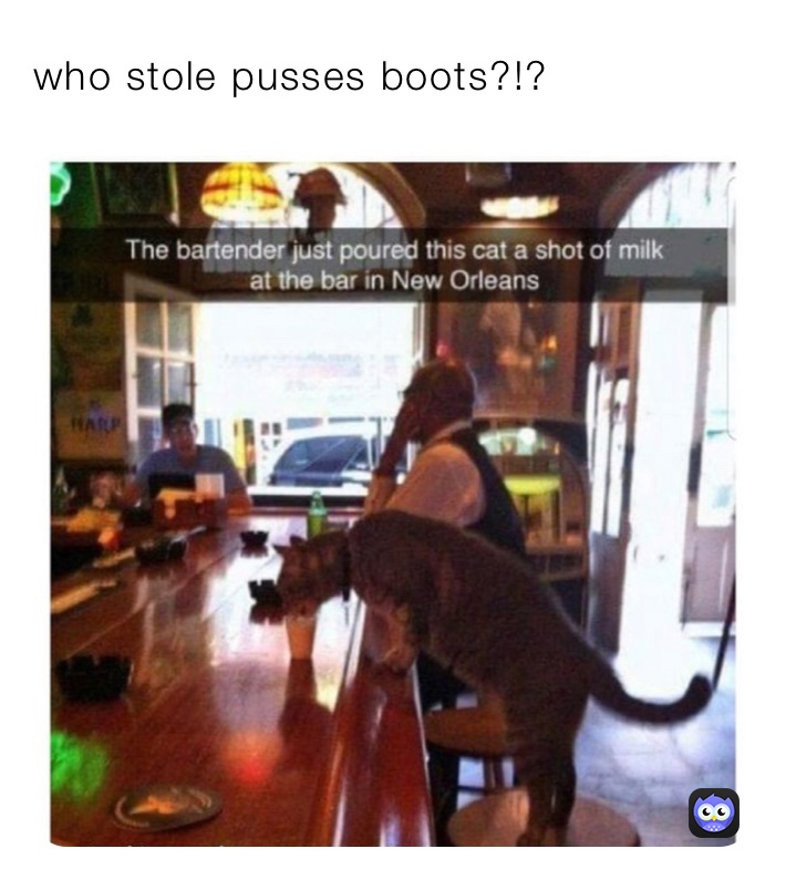 who stole pusses boots?!?