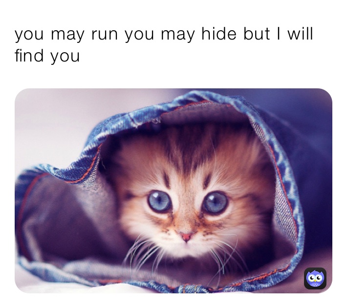 you may run you may hide but I will find you 