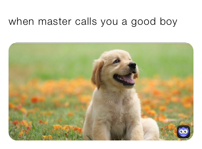 when master calls you a good boy 