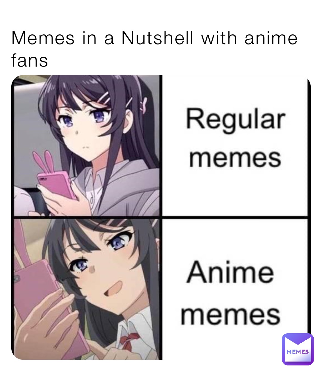 Memes in a Nutshell with anime fans