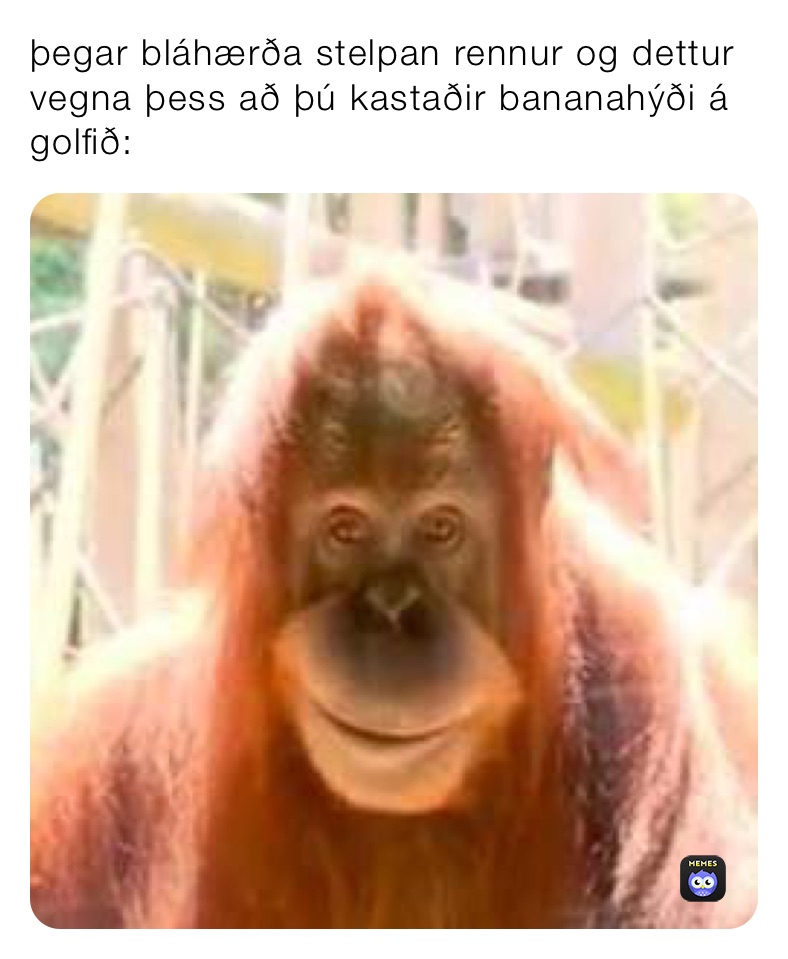 Meme by gudjon.mani1234