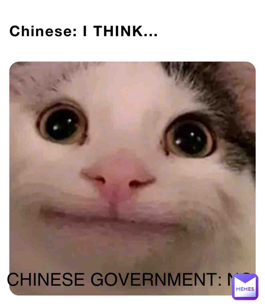 True   # #meme