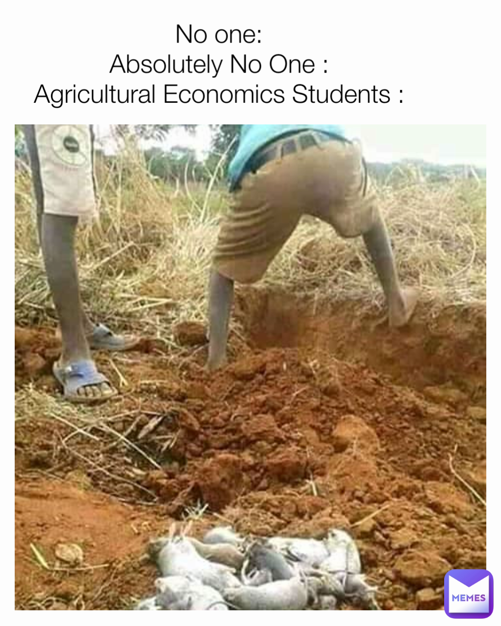 No one:
Absolutely No One :
Agricultural Economics Students :