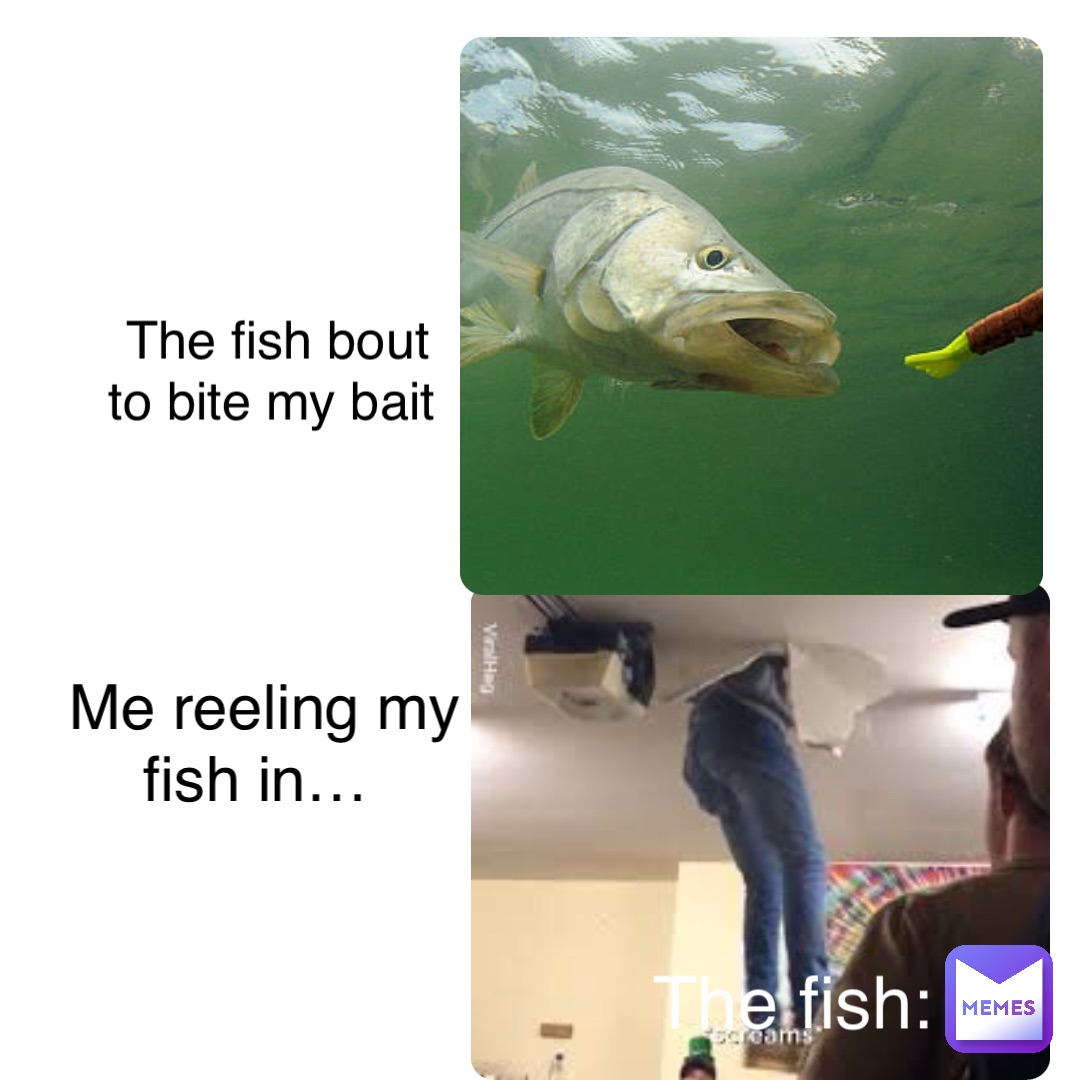 Double tap to edit The fish bout to bite my bait Me reeling my fish in… The  fish:, @Comedy_Clan