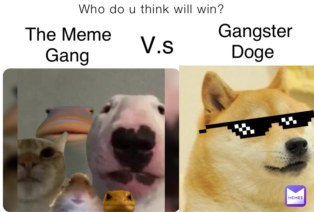 Who do u think will win? The Meme Gang V.s Gangster Doge