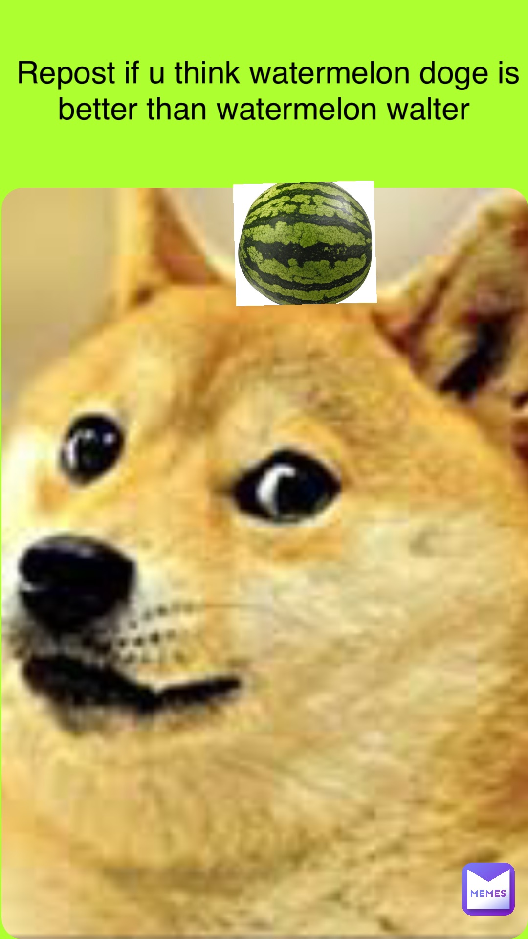 Double tap to edit Repost if u think watermelon doge is better than watermelon walter