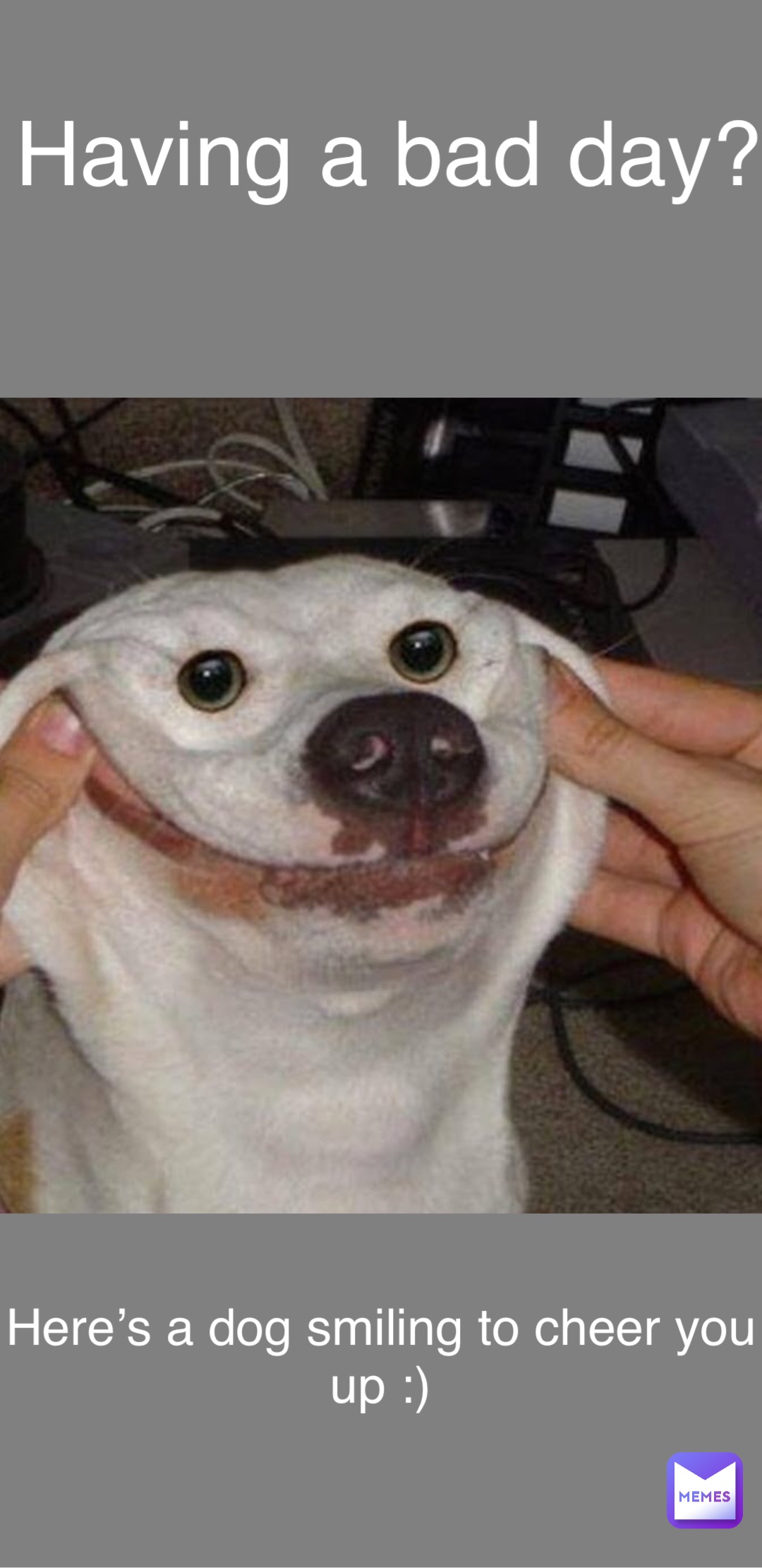 Double tap to edit Having a bad day? Here’s a dog smiling to cheer you 
up :)