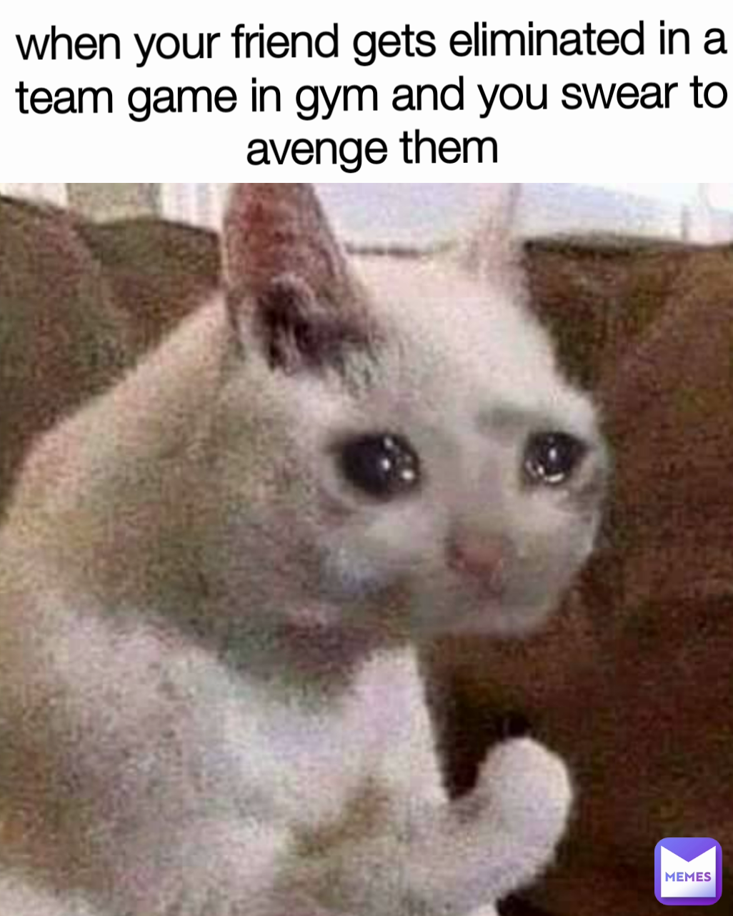 when your friend gets eliminated in a team game in gym and you swear to avenge them
