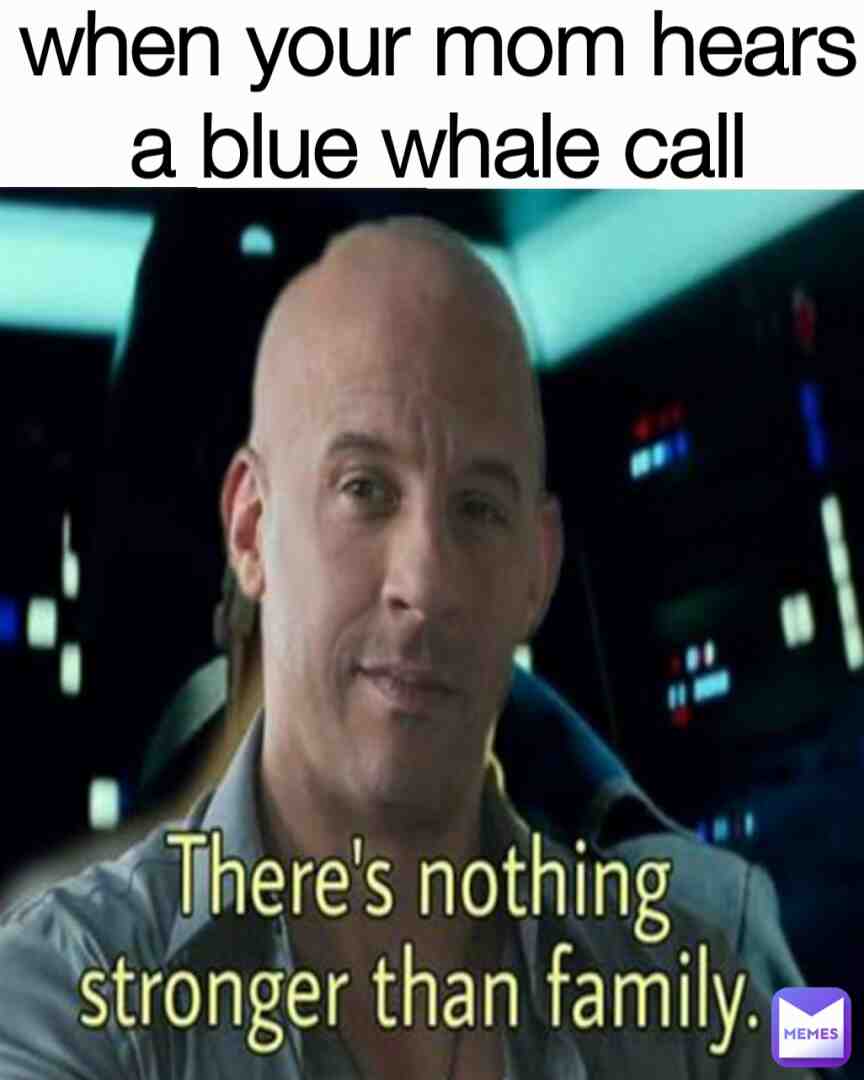 Meme shared by @mrchickenwings