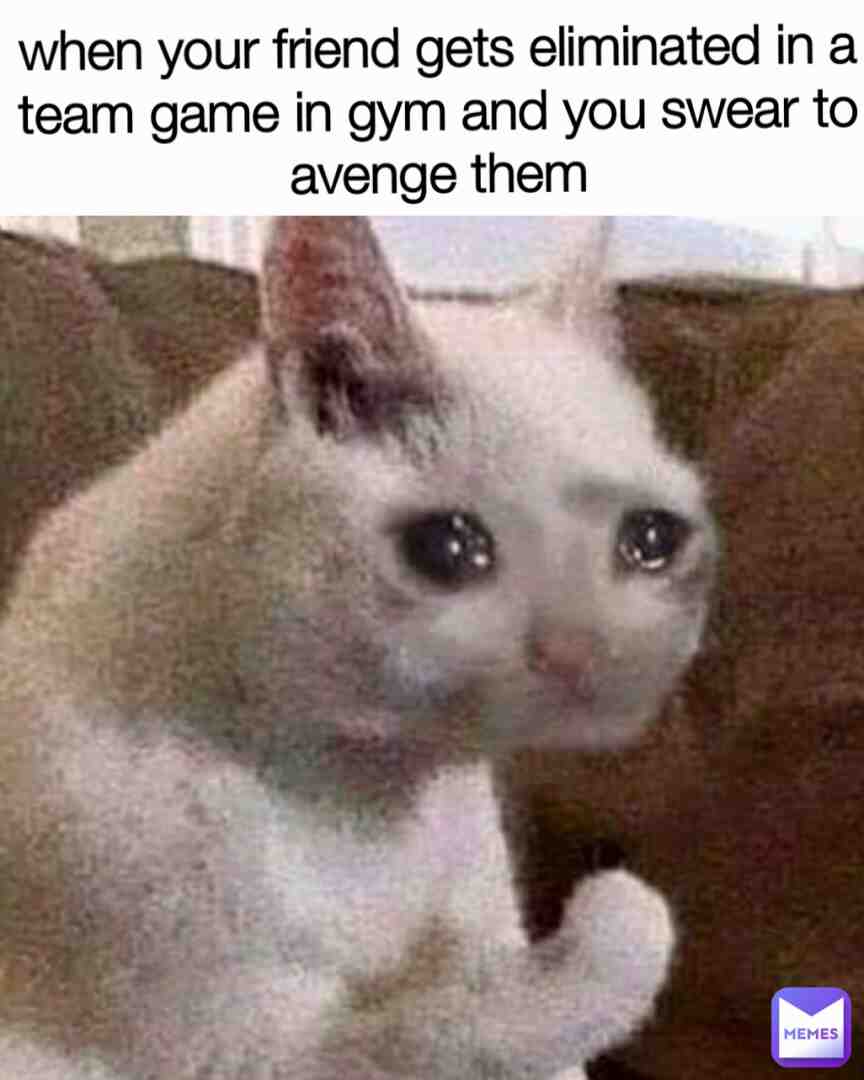Meme shared by @mrchickenwings