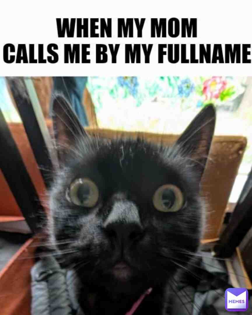 Meme shared by @mrchickenwings