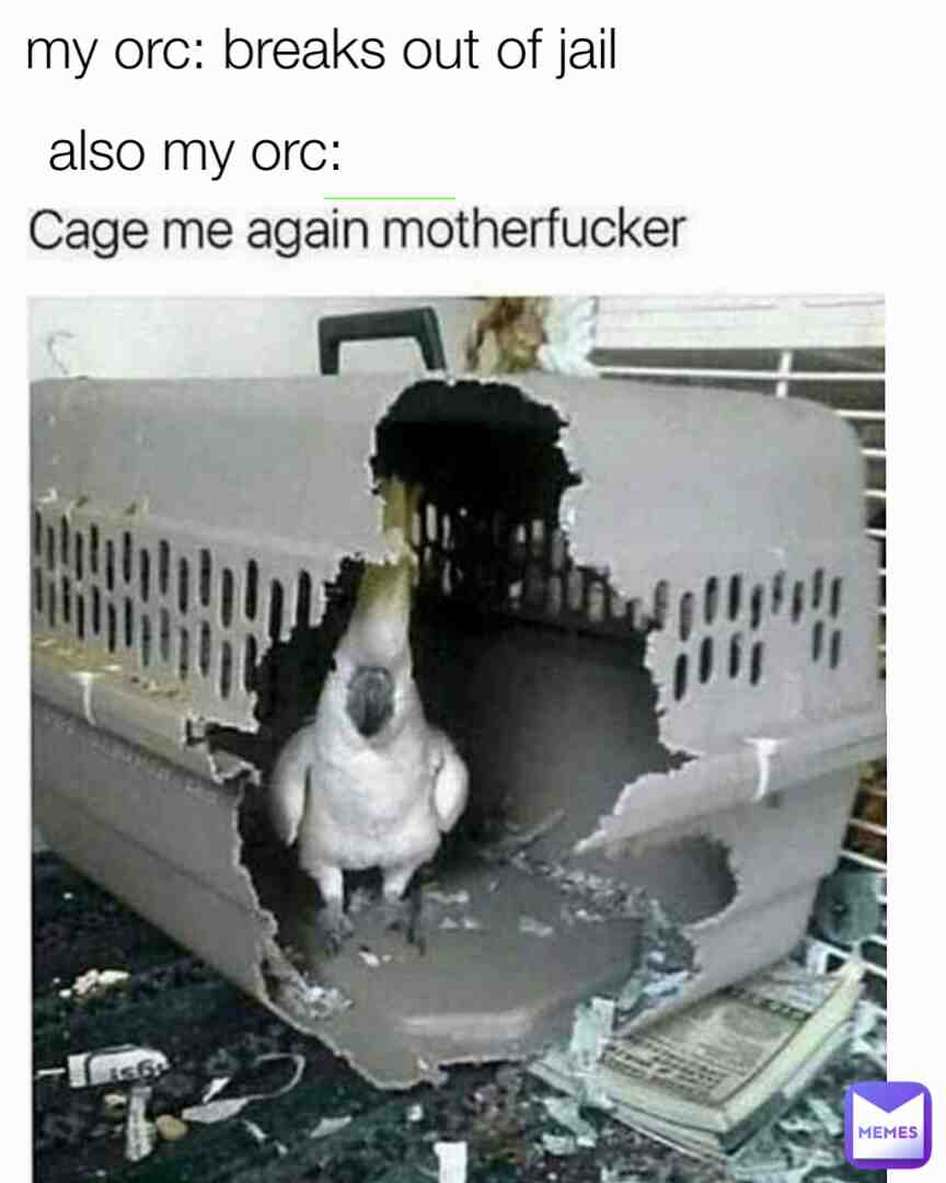 Meme shared by @mrchickenwings