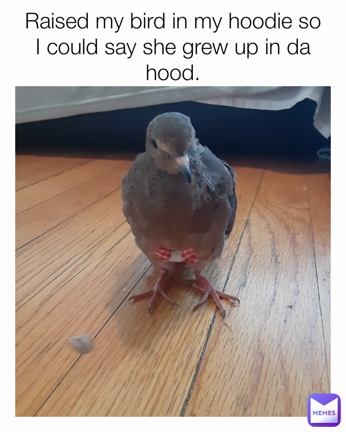 Raised my bird in my hoodie so I could say she grew up in da hood.