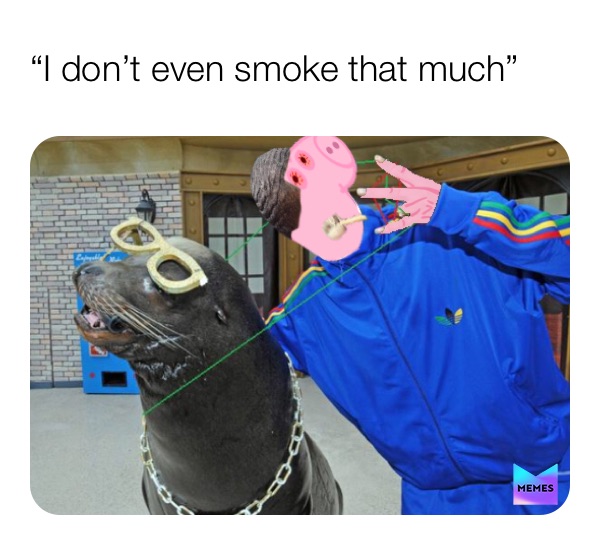 Meme by who_posted_that