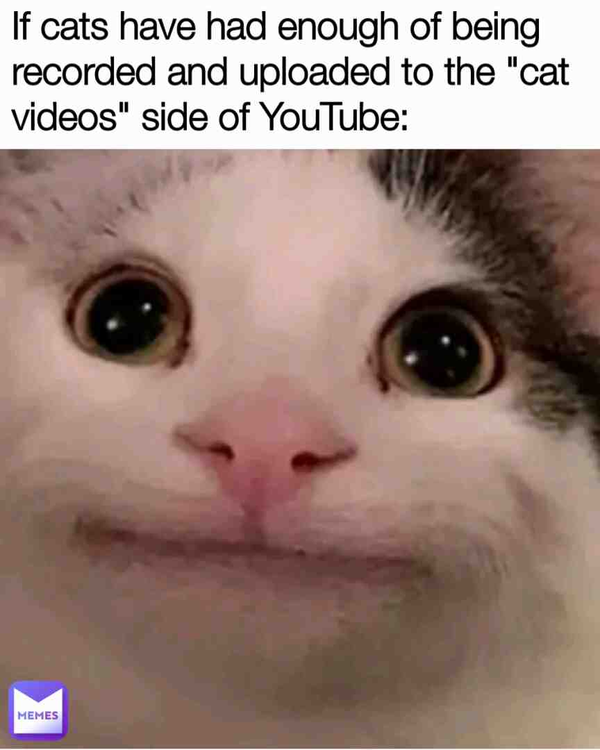 Even Talking Tom should have some sort of agreement with this.