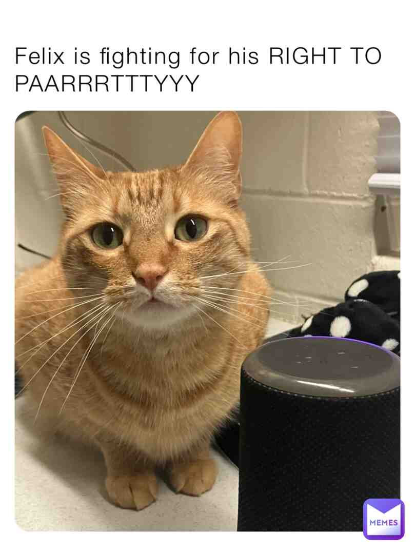 Meme shared by @vikkiT