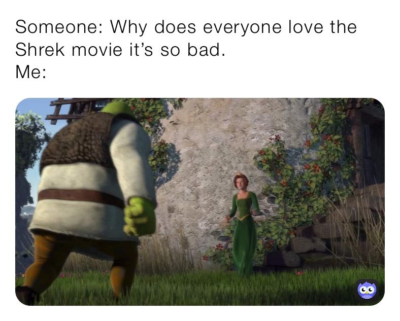 Someone: Why does everyone love the                  
Shrek movie it’s so bad.
Me: