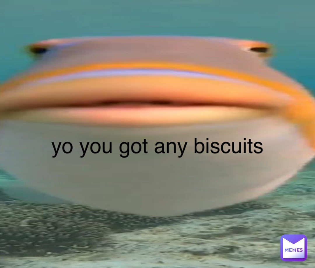 yo you got any biscuits