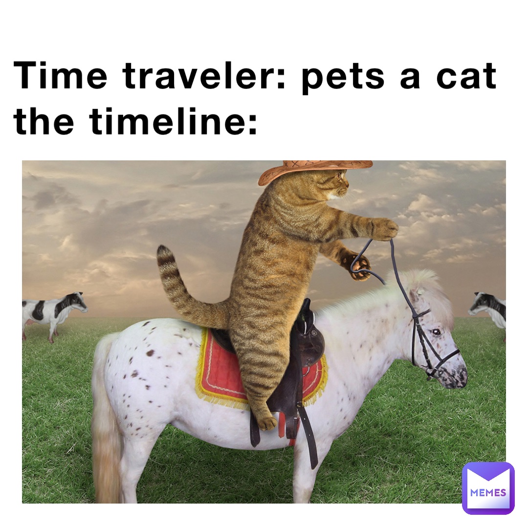 Time traveler: pets a cat
The timeline: I