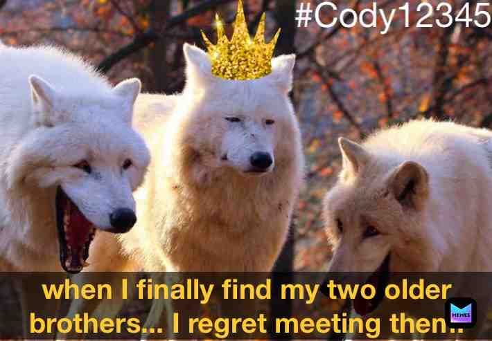Meme shared by @cody18