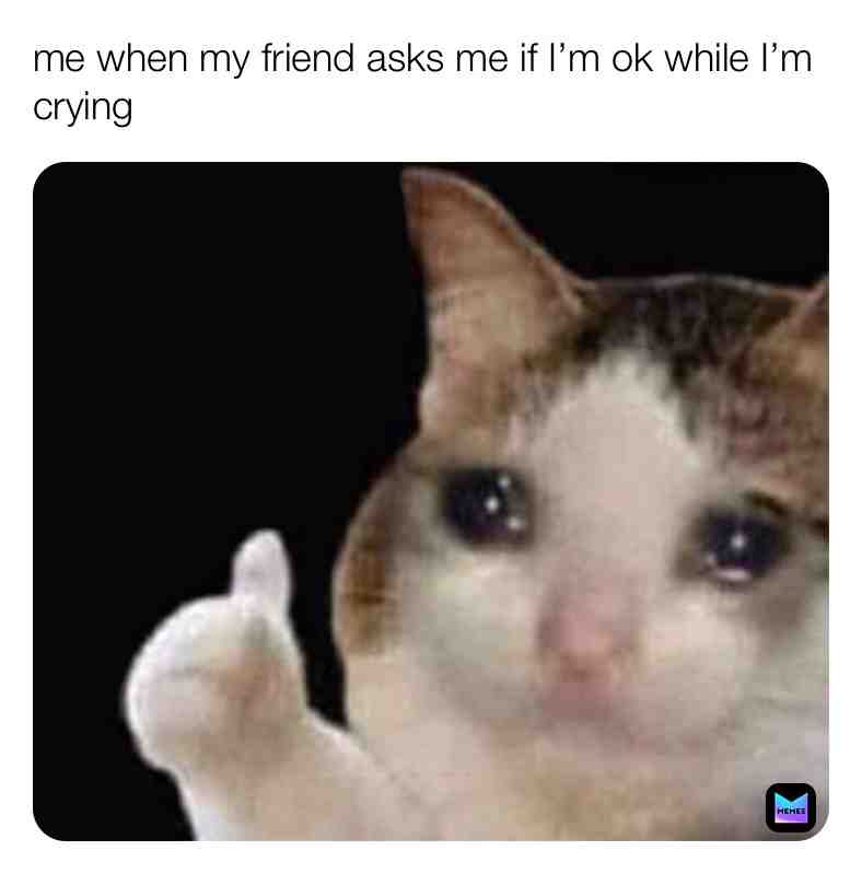 Meme shared by @therealtoiletpaper