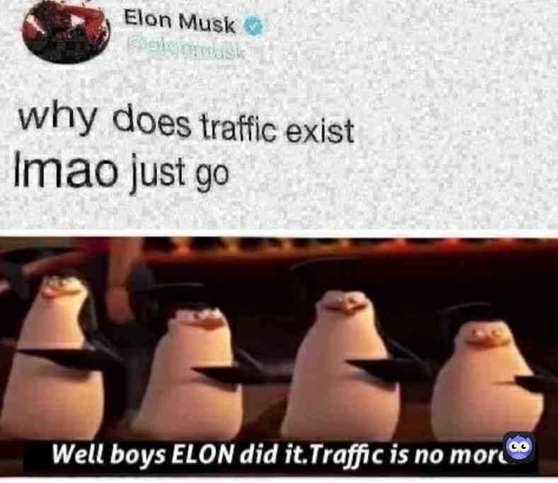 thanks elon