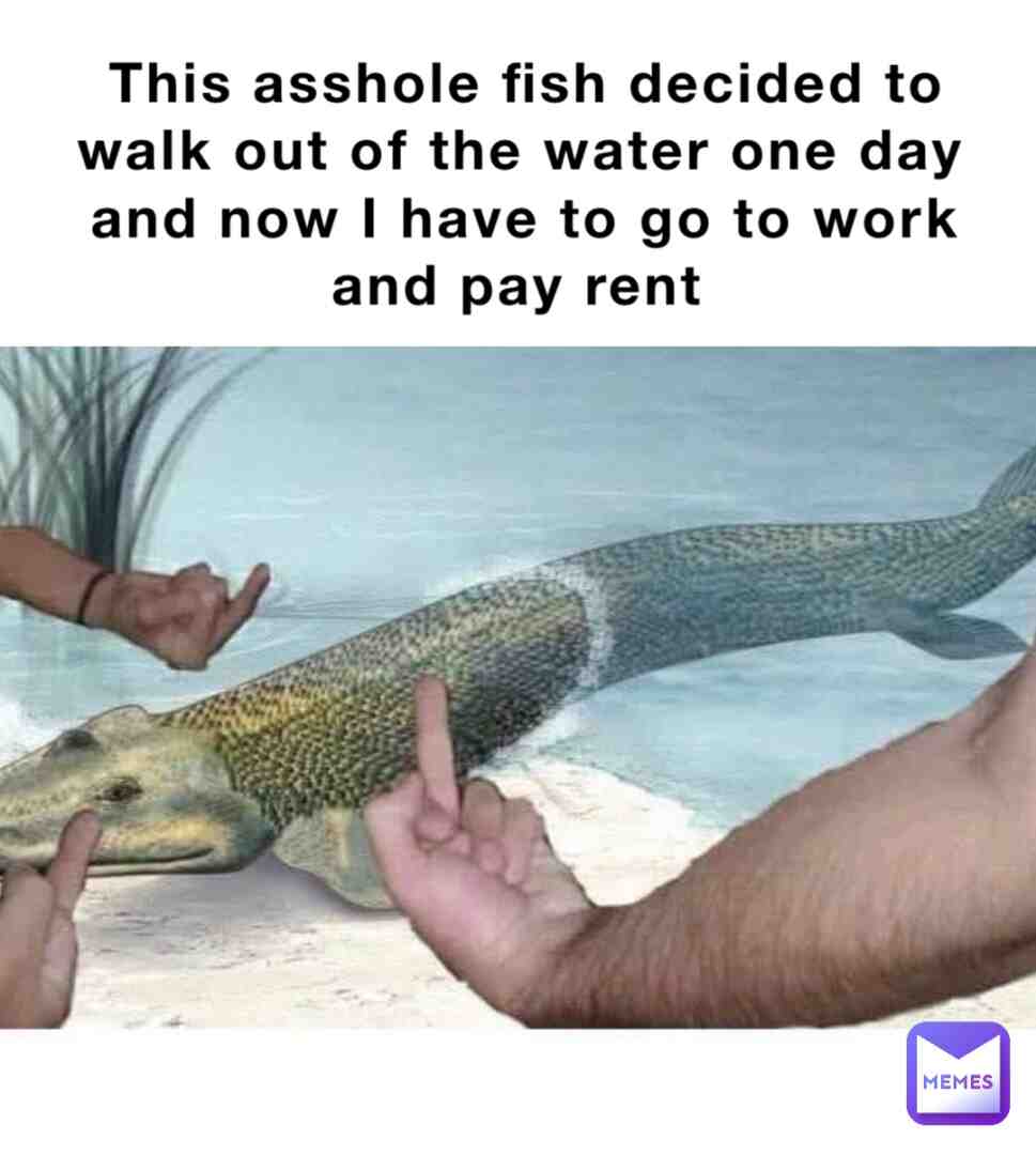 Meme preview