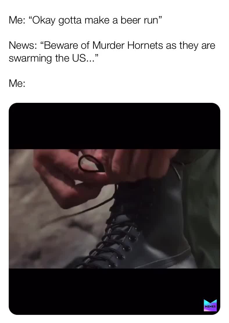 #armedandangerous  #2020  #murderhornets