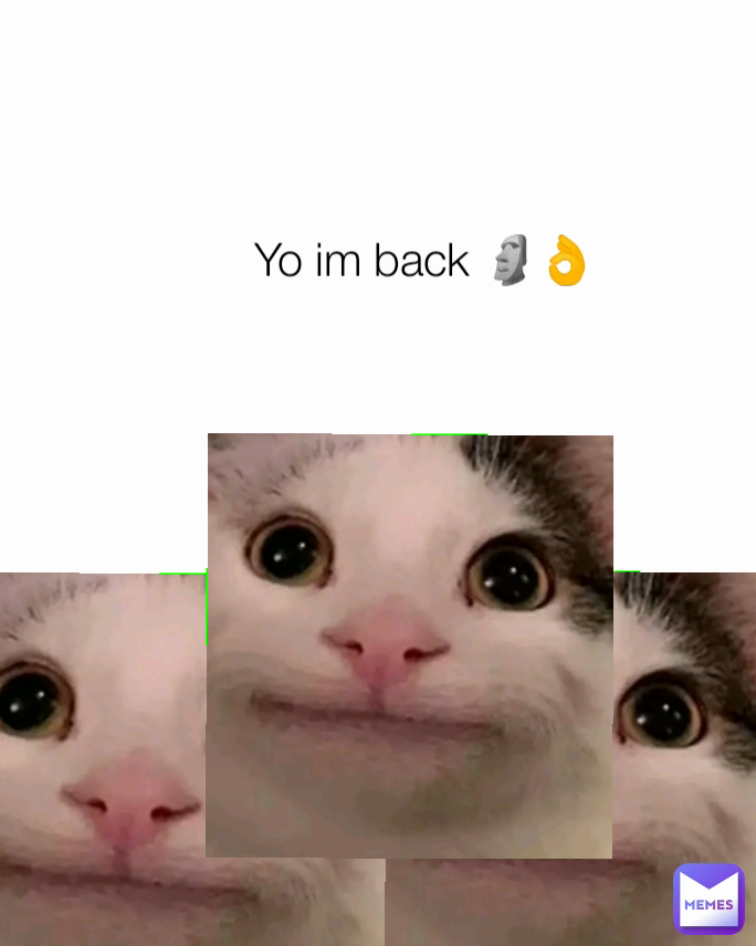 Yo im back 🗿👌