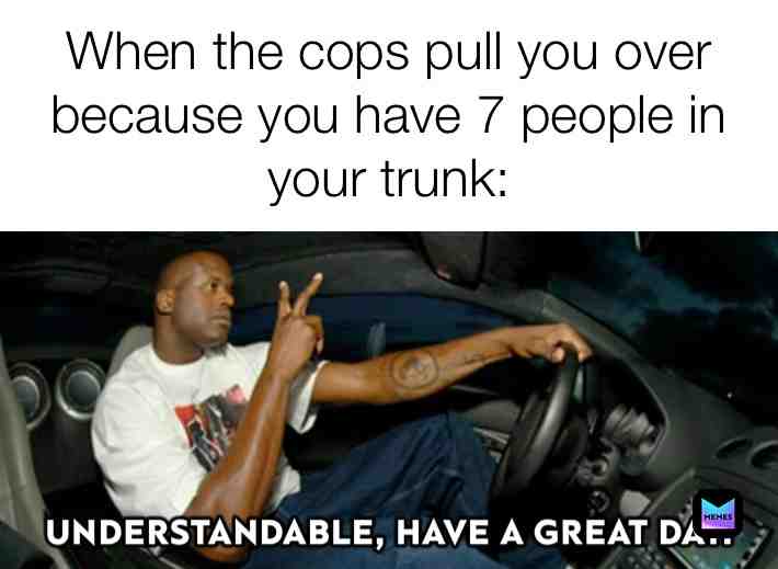 Cops need to mind their own business😤  #foryou  #trunk  #people